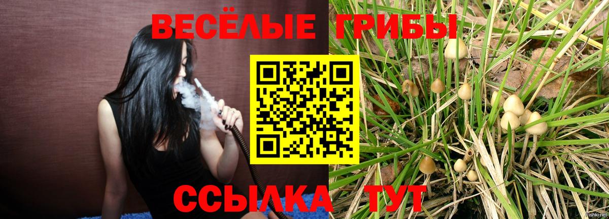 Псилоцибиновые грибы Cubensis Всеволожск