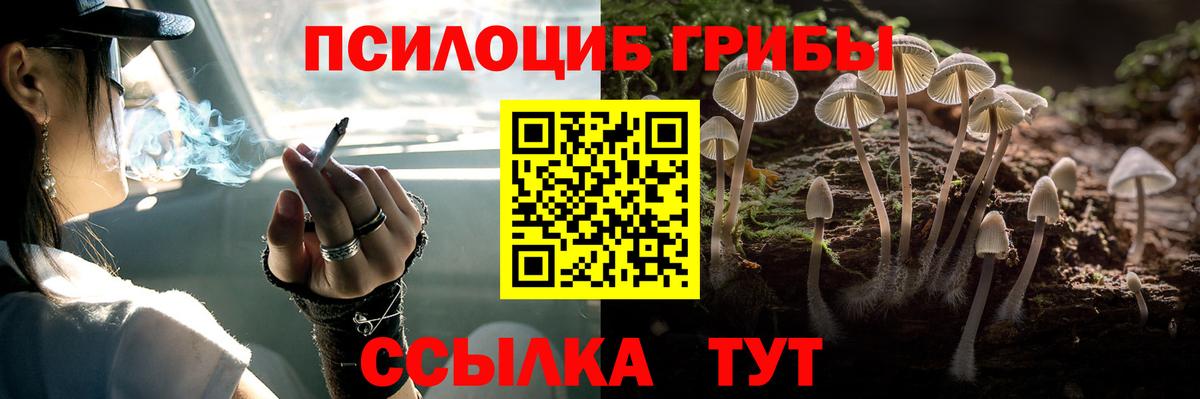 Галлюциногенные грибы прущие грибы  Вход с VPN  Псилоцибиновые грибы мицелий  Всеволожск 